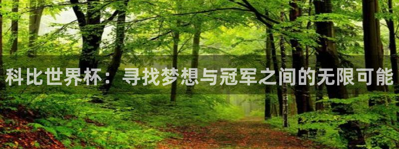 女足世界杯直播：科比世界杯：寻找梦想与冠军之间的无限可能