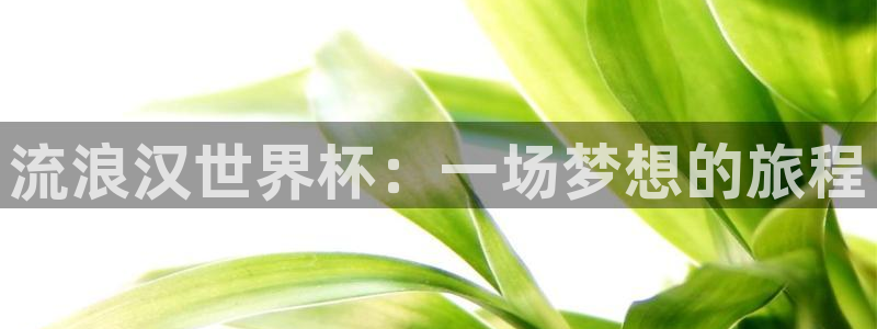 世界杯附加赛赛程表：流浪汉世界杯：一场梦想的旅程