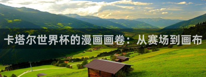 中国 世界杯：卡塔尔世界杯的漫画画卷：从赛场到画布