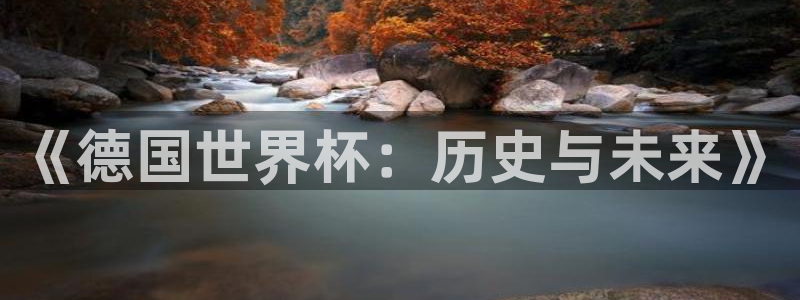 世界杯比赛直播：《德国世界杯：历史与未来》