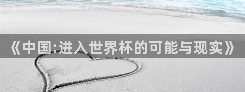 世界杯2026赛程：《中国:进入世界杯的可能与现实》