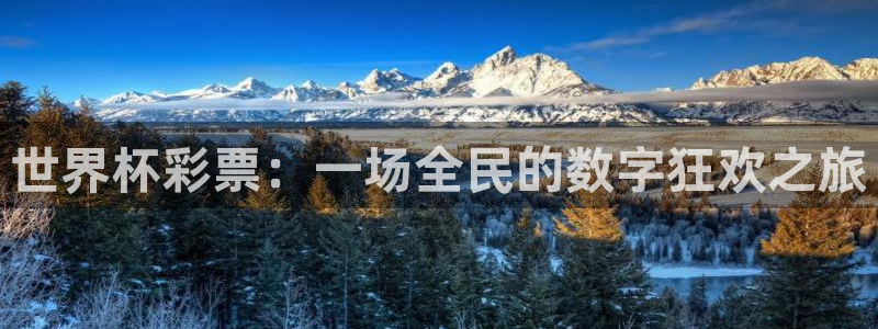 世界杯赛程2026：世界杯彩票：一场全民的数字狂欢之旅