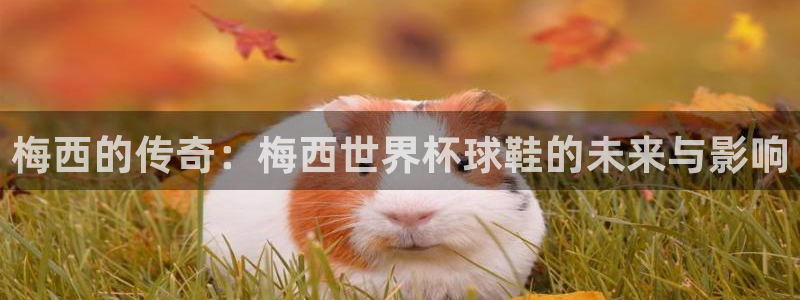 世界杯直播网：梅西的传奇：梅西世界杯球鞋的未来与影响