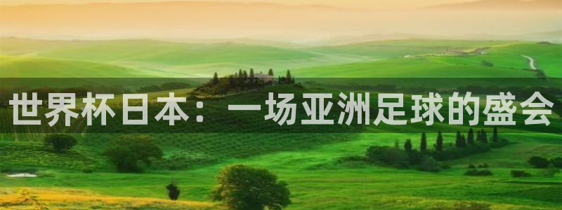 世界杯预选赛赛程时间表：世界杯日本：一场亚洲足球的盛会