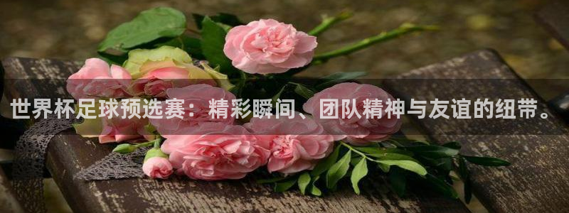 世界杯决赛预测：世界杯足球预选赛：精彩瞬间、团队精神与友谊的纽带。