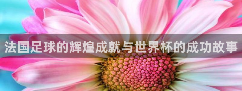 2026世界杯亚洲预选赛赛程：法国足球的辉煌成就与世界杯的成功故事