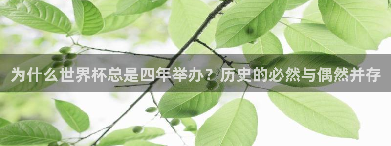2026年足球世界杯赛程时间表：为什么世界杯总是四年举办？历史的必然与偶然并存