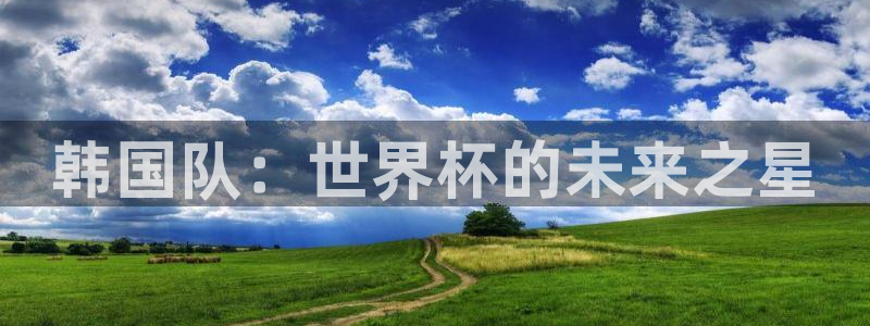 世界杯预选赛赛程：韩国队：世界杯的未来之星