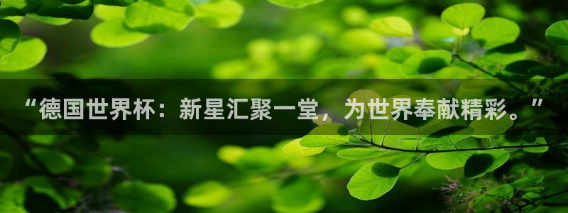 世界杯足球赛：“德国世界杯：新星汇聚一堂，为世界奉献精彩。”