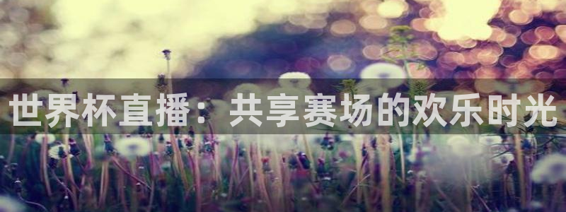 世界杯官网入口：世界杯直播：共享赛场的欢乐时光